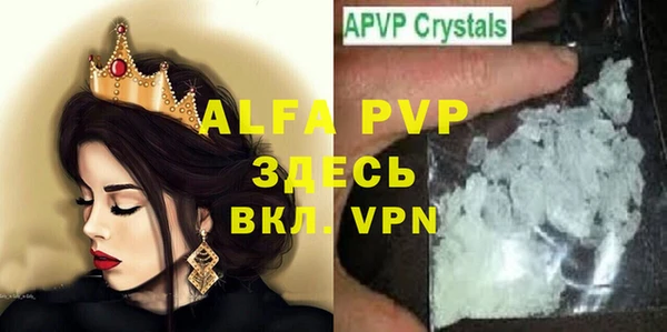 стаф Гусев