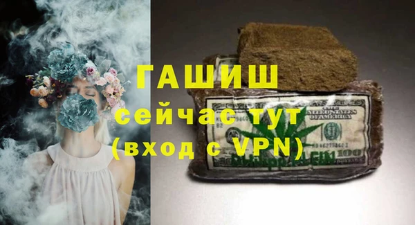 стаф Гусев