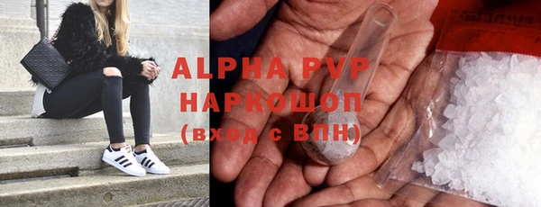 стаф Гусев